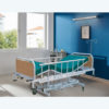 ICU BED (MBH 5001 DG/OF WH/LG)