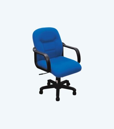 EXECUTIVE CHAIR (FCN 2209 LR-PL)