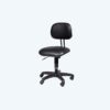 SECRETARIAL CHAIR (FCJ 2262 LR PL)