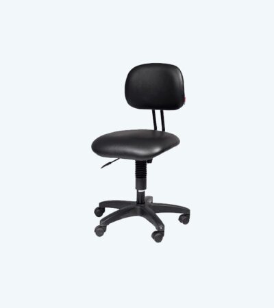SECRETARIAL CHAIR (FCJ 2262 LR PL)