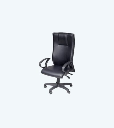 HI-NECK SWIVEL CHAIR (FCH 2208 LR-PL)