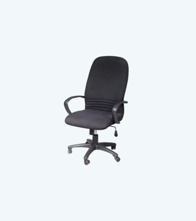HI-NECK SWIVEL CHAIR (FCH 2210 LR-PL)