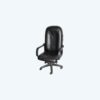 HI-NECK SWIVEL CHAIR (FCH 2213 LR-PL)