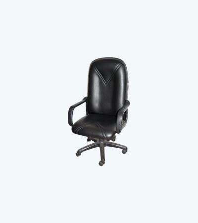 HI-NECK SWIVEL CHAIR (FCH 2213 LR-PL)
