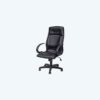 HI-NECK SWIVEL CHAIR (FCH 2214 LR-PL)