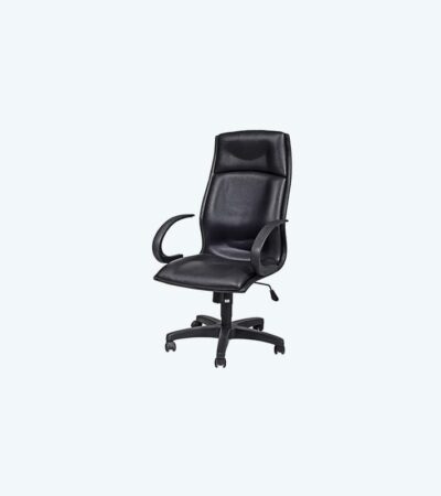 HI-NECK SWIVEL CHAIR (FCH 2214 LR-PL)