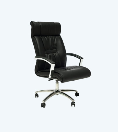 HI-NECK SWIVEL CHAIR (FCH 9004)