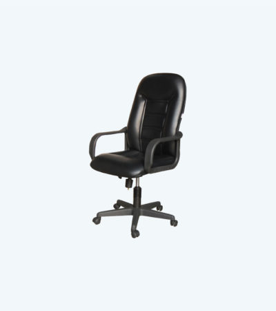 HI NECK SWIVEL CHAIR (FCH 2209 LR-PL)
